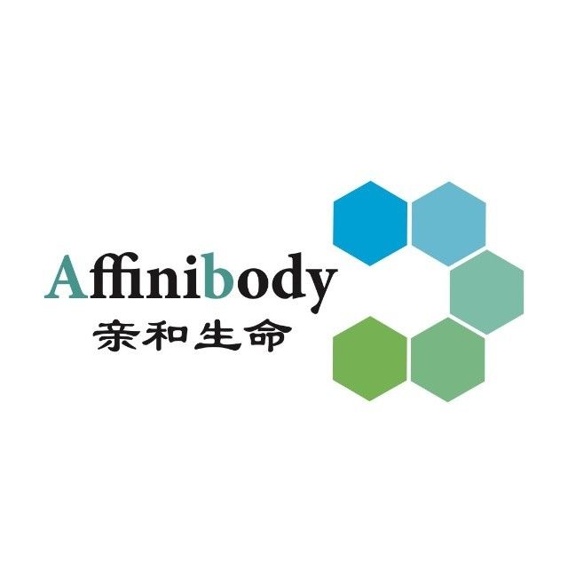 亲和生命 AIWB-012 Co-IP/WB组织/细胞通用裂解液(含蛋白酶抑制剂)