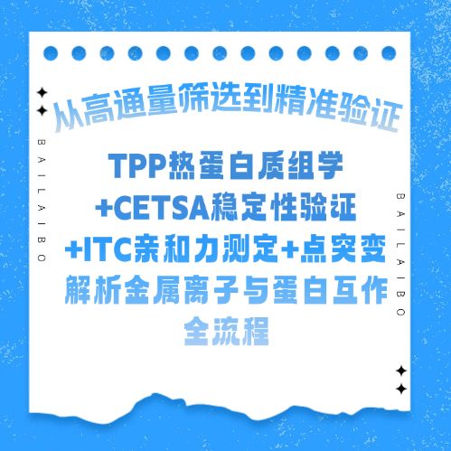 从高通量筛选到精准验证：TPP热蛋白质组学+CETSA稳定性验证+ITC亲和力测定+点突变解析金属离子与蛋白互作全流程