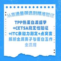从高通量筛选到精准验证：TPP热蛋白质组学+CETSA稳定性验证+ITC亲和力测定+点突变解析金属离子与蛋白互作全流程