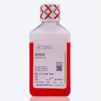 DMEM高糖(含谷氨酰胺,Contains sodium pyruvate)