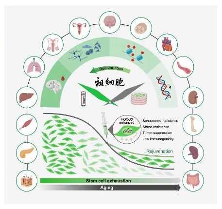 新闻图片4