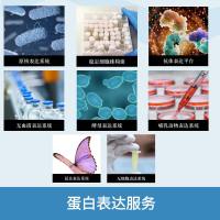 VLP蛋白表达服务
