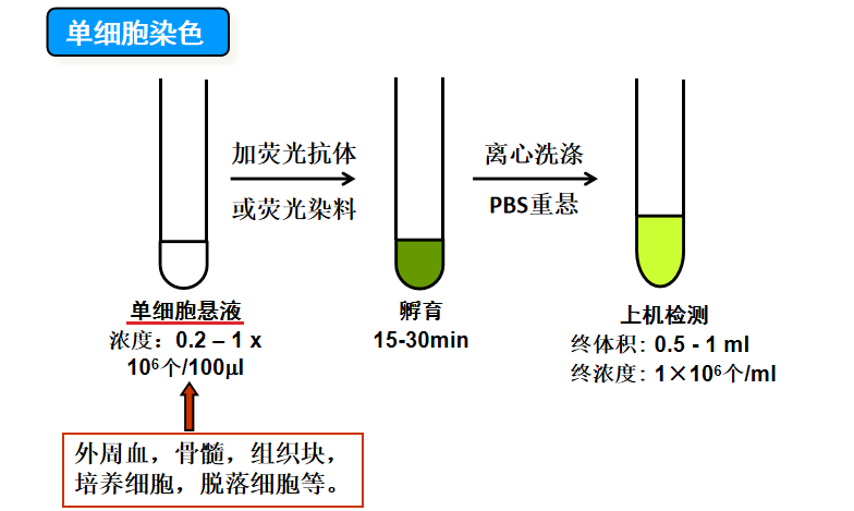 新闻图片2