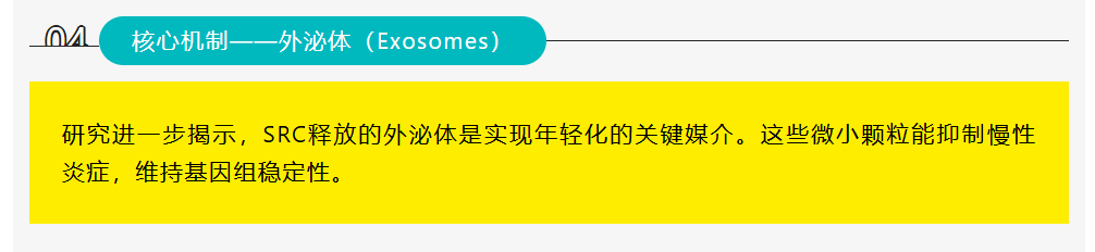 新闻图片3