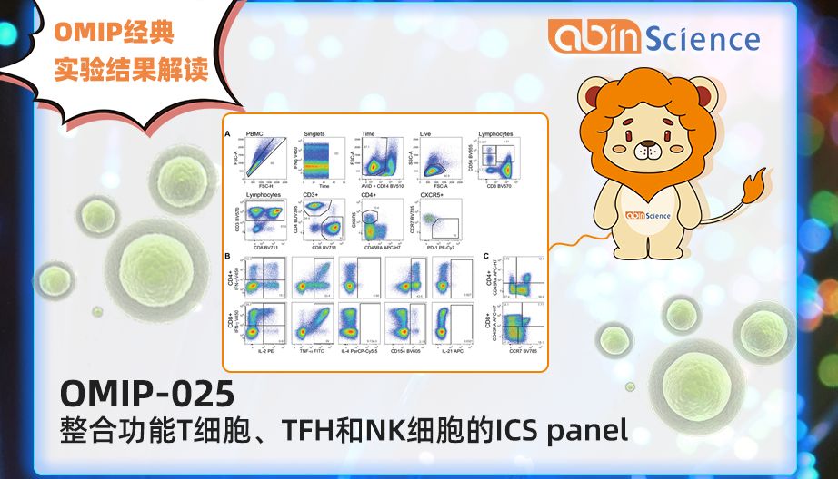 OMIP-025：整合功能T细胞、TFH和NK细胞的ICS panel