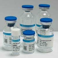 CHIKV Envelope 2 Protein, His Tag