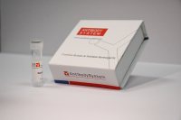Recombinant Mycoplasma pneumoniae CARDS Protein, N-His