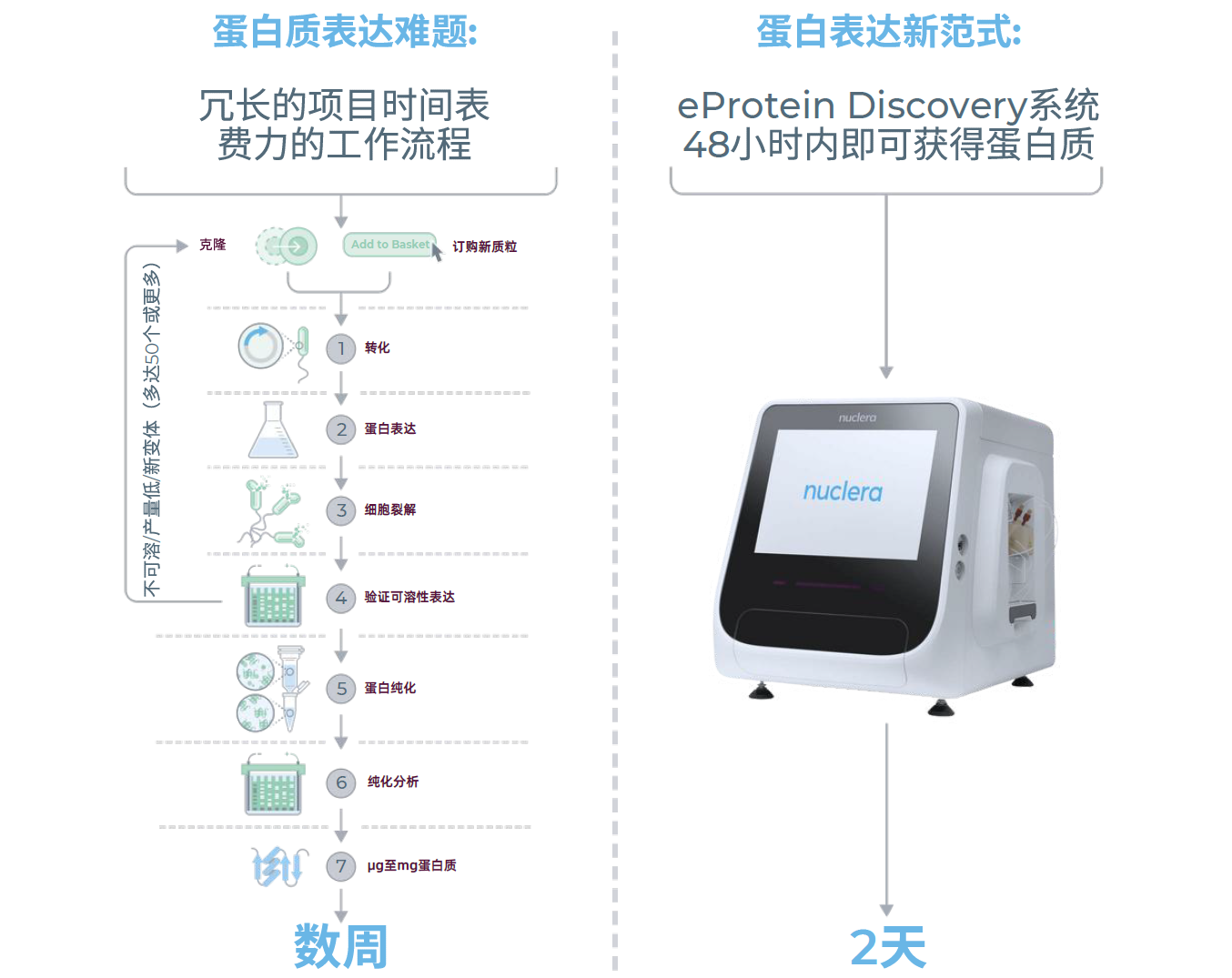eProtein Discovery无细胞蛋白表达筛选系统