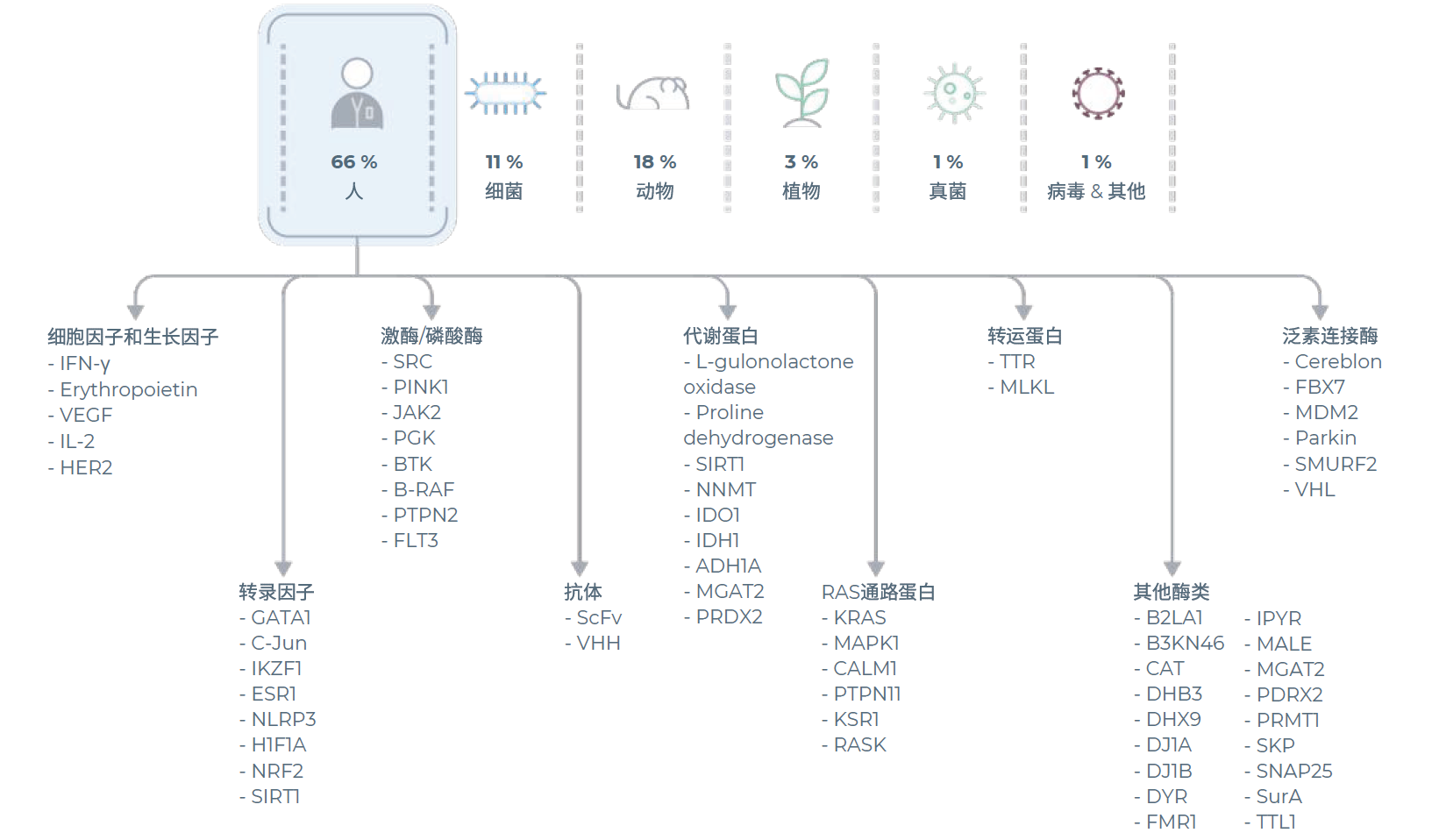 无细胞蛋白表达系统已成功表达超过2000种蛋白质