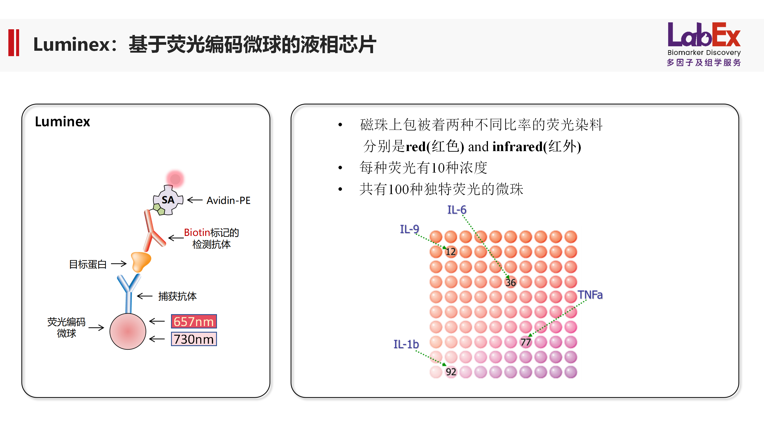新闻图片3