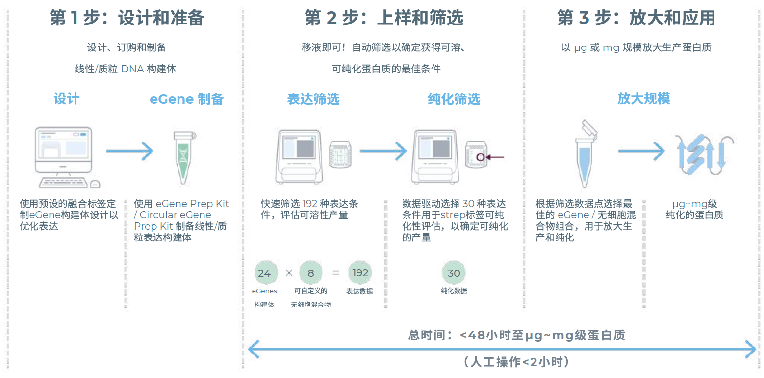 eProtein Discovery无细胞蛋白表达系统工作流程