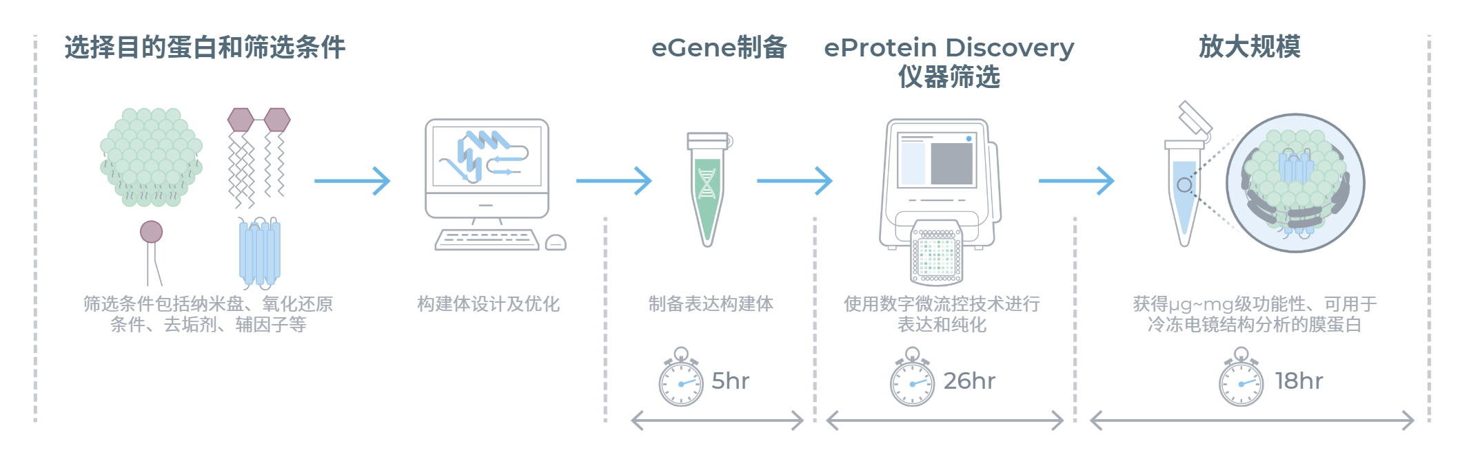 eProtein Discovery无细胞系统膜蛋白工作流程