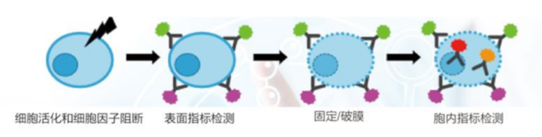 新闻图片5