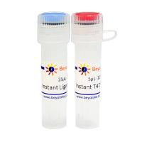 超快速DNA连接试剂盒(试用装)