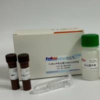 Frdbio® 荧光素Fluor590标记试剂盒