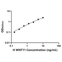 人无翅型MMTV整合位点家族成员11(WNT11)ELISA试剂盒