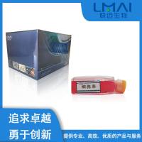 HT55-LUC+GFP细胞（人结肠癌细胞带荧光素酶和绿色荧光蛋白）