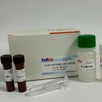 Frdbio® 荧光素Cy5标记试剂盒