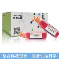 c2k细胞（人白血病细胞）