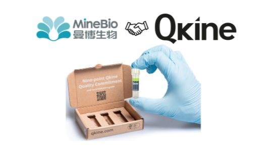 合作声明：QKine高活性无动物源重组细胞因子｜曼博生物官方直售