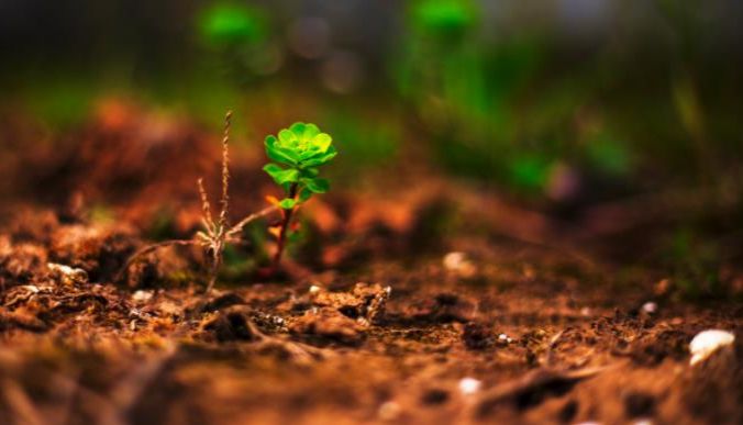 腐殖酸检测指南：总腐殖酸、胡敏酸、富里酸、HA/FA比值一站讲透