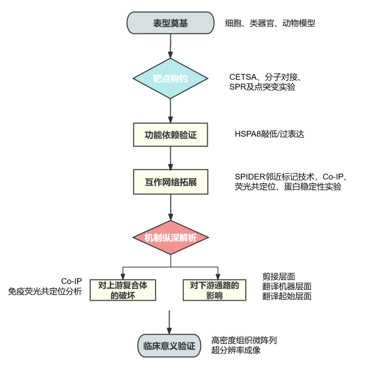 新闻图片2