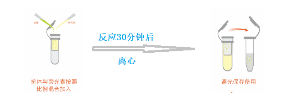 产品细节图片2
