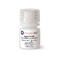 外泌体下游纯化与高回收率试剂AgentV-DSP