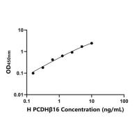 人原钙黏素β16(PCDHβ16)ELISA试剂盒