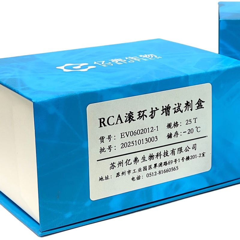 滚环扩增（RCA）试剂盒