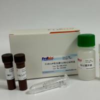 Frdbio® 荧光素Fluor770标记试剂盒