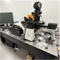 超分辨共聚焦显微镜