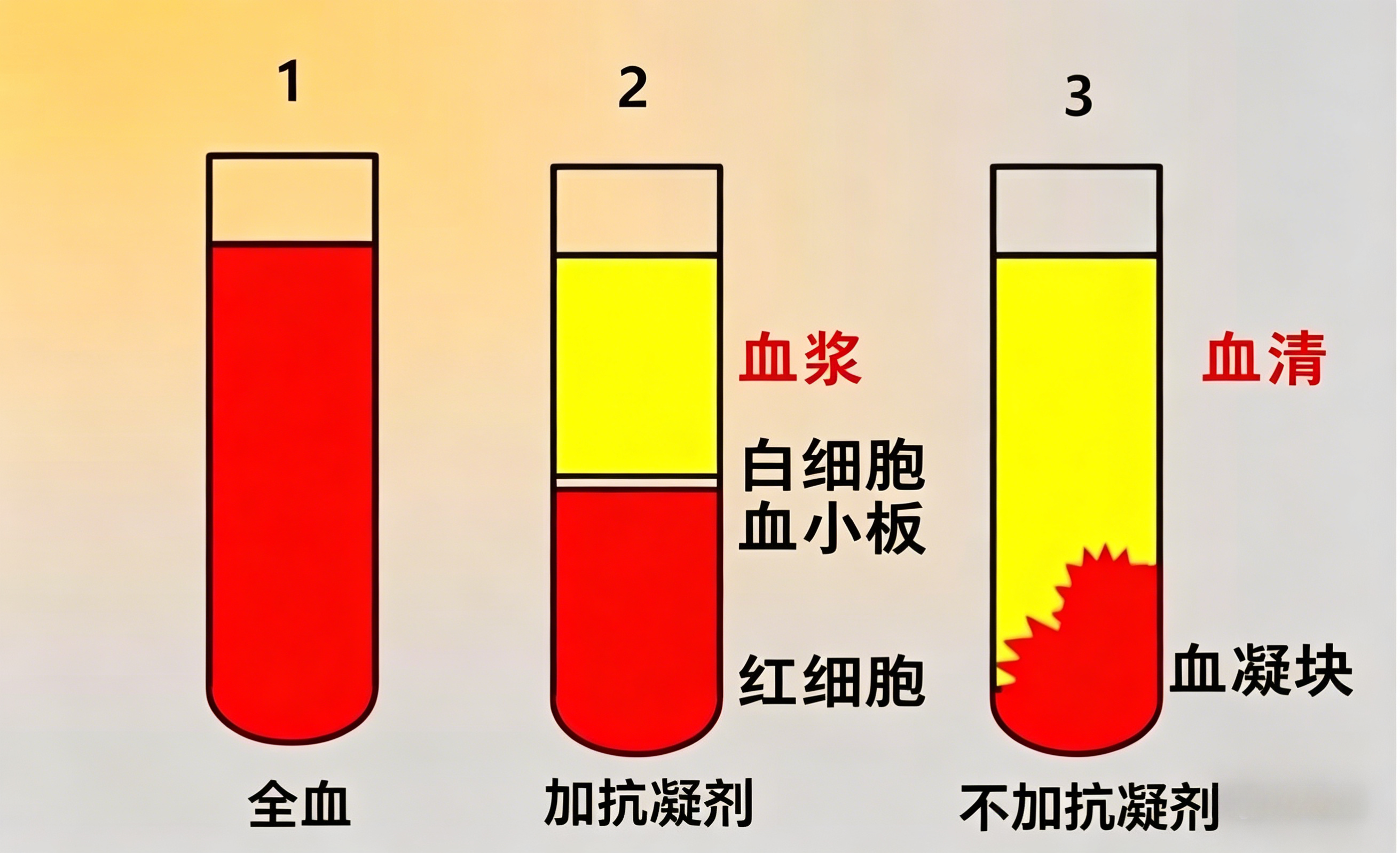 从采集到冻存：如何确保血清血浆样本在多因子检测中的可靠性？