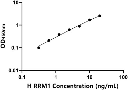 人(RRM1)ELISA试剂盒