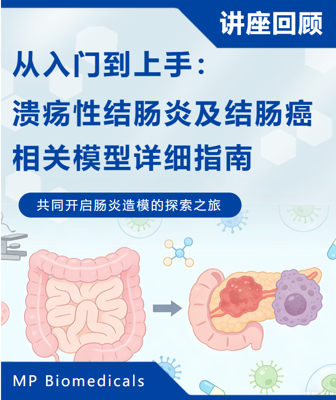新闻图片1