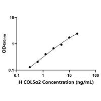 人Ⅴ型胶原α2(COL5a2)ELISA试剂盒