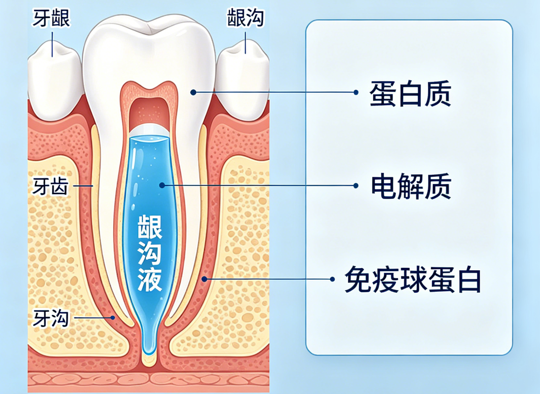 微量龈沟液样本的保存策略与多因子检测前处理要点