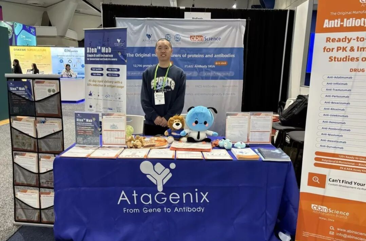 普健生物亮相AACR 2026回顾：定制抗体技术服务与35,000+目录试剂