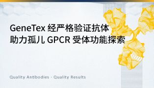 GeneTex 经严格验证抗体助力孤儿 GPCR 受体功能探索