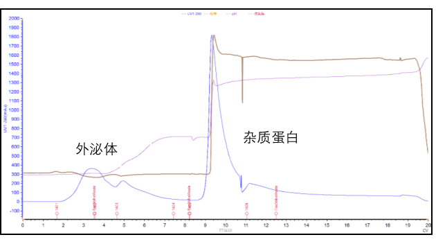 外泌体高效纯化新工具案例分析