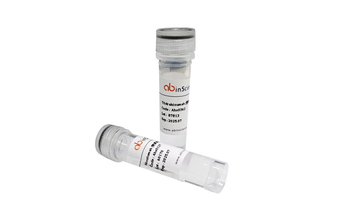 武汉艾必赛生物有限公司推荐Anti-FMDV (SAT-1) VP2 Polyclonal Antibody,精品抗体