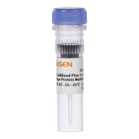 三色预染蛋白marker 分子量标准(10-180 kDa)