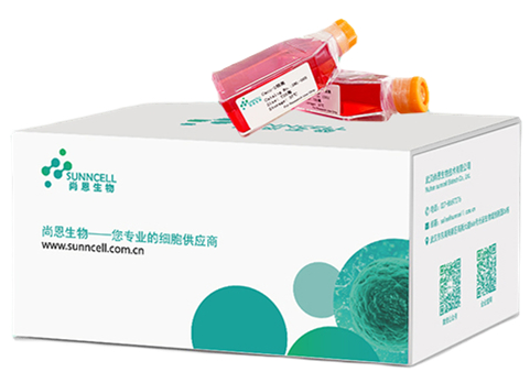 细胞系传代次数多少符合实验要求？