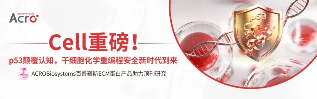 ECM蛋白助力Cell研究：p53颠覆认知，干细胞化学重编程安全新时代到来！