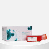 TCCSUP (人膀胱癌细胞) (STR鉴定正确)