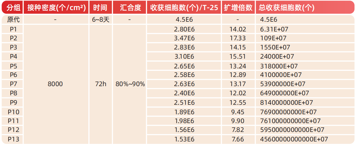 产品细节图片2