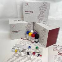 贝类（Shellfish）去甲基化酶（Demethylase）ELISA 检测试剂盒