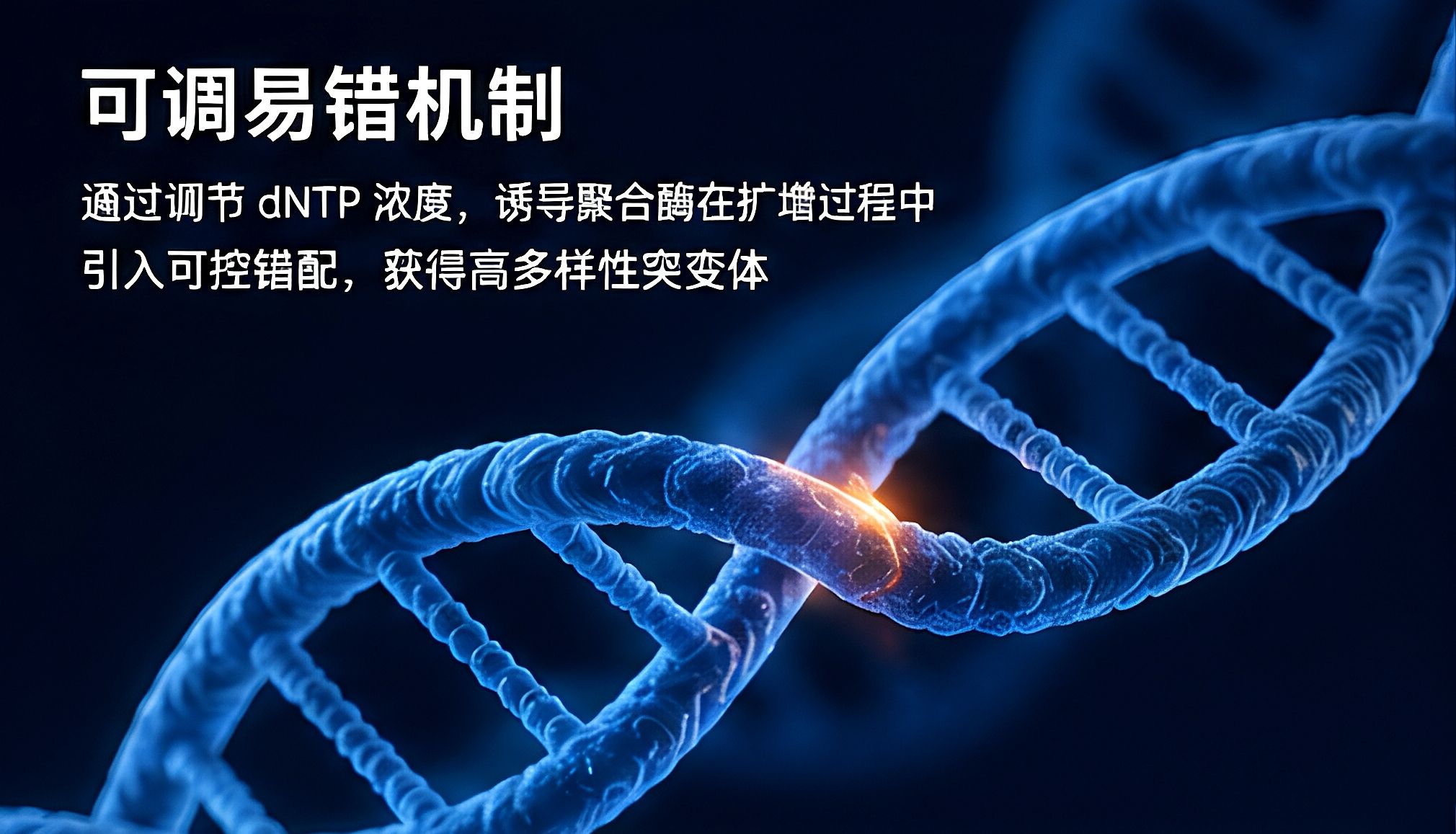 染料法实时可调易错 PCR ：技术原理与实操指南