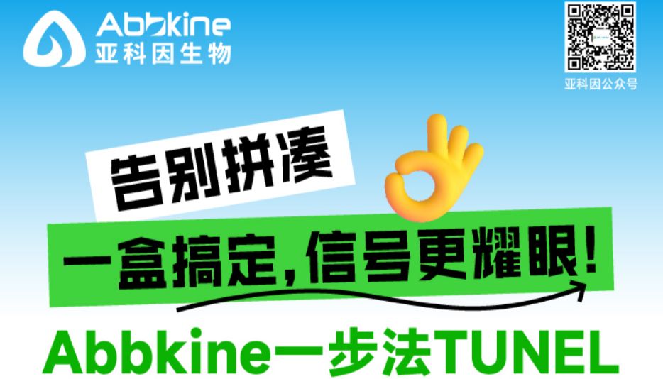 告别拼凑，一盒搞定细胞凋亡检测，信号更耀眼！