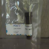 阿拉丁 PMA（叠氮溴化丙锭）